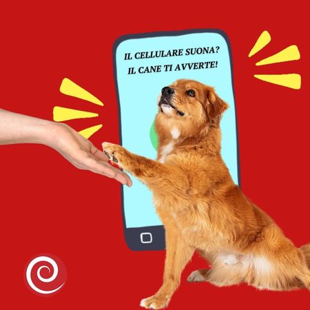 Cani guida per deboli di udito Cani guida udito